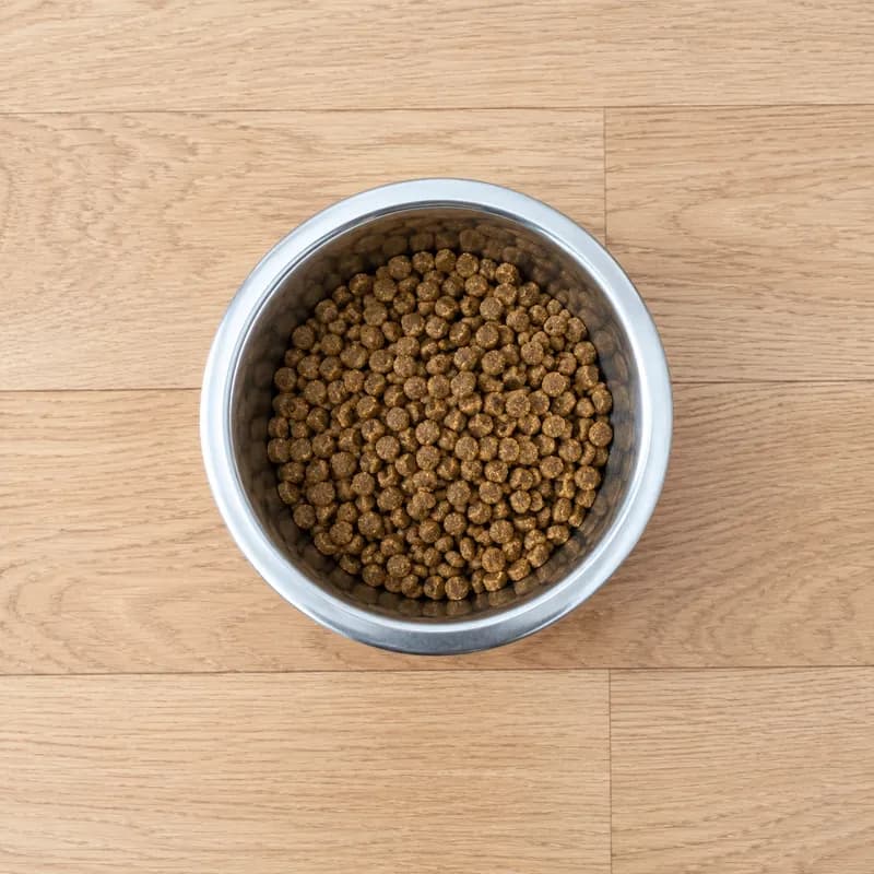 Measured bowl of dry dog food viewed from above
